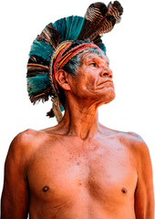 Indian from the Pataxó tribe, with feather headdress. Elderly Brazilian Indian looking to the...