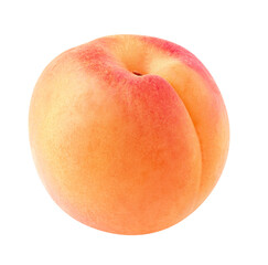 One fresh apricot fruit. Cut out, no background