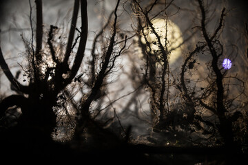 Spooky dark landscape showing silhouettes of trees in the swamp on misty night.