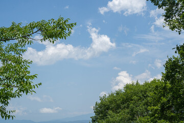 妙高への旅行、国道18号から、澄んだ空を見た（6月末）