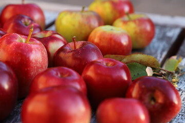Fototapeta na wymiar Äpfel rot und gelb auf Holztisch