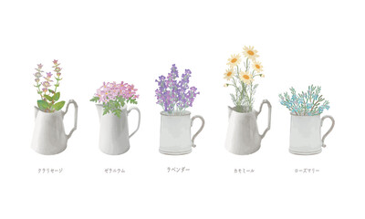 ピッチャー入った芳香植物・精油＆アロマ・クラリセージ、ゼラニウム、ラベンダー、カモミール、ローズマリー