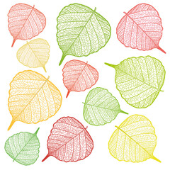 Obraz premium Colored filigree leaves with transparent background