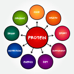 Protein are large biomolecule and macromolecule that comprise one or more long chains of amino acid residues, mind map concept background