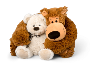 Teddy bear being held by another teddy bear