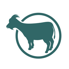 Vector illustration of a domestic goat.