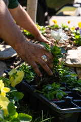 Lawn & Landscaping with Flowers and Plants