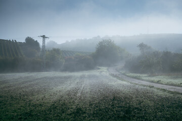 Mystical morning fog lies over a field and a dirt road leading into wooded hills in the mist.