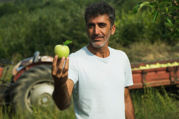 Portrait of a middle eastern holding an apple in his hand and posing in an apple orchard with a...
