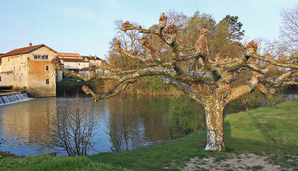 Old mill on the Dropt river. France