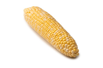 Yellow corn isolated on white background. Copyspace.
