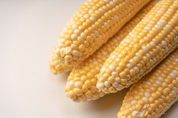 Yellow corn isolated on white background. Copyspace.