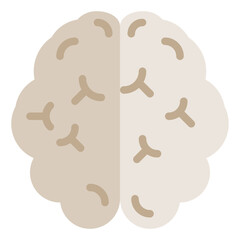 Brain flat style icon