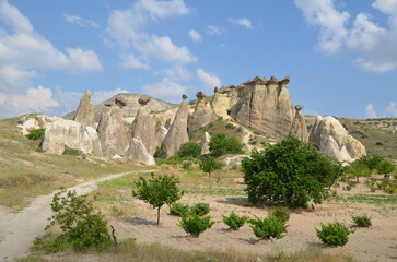 cappadocian landscape with plants and bizarre rock formation