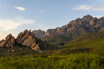 Organ Mountains