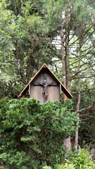 Fototapeta na wymiar bird house in the forest