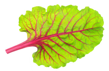 One beetroot leaf cut out