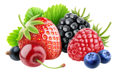 Assorted berries (cherry, black currants, strawberry, blackberry, raspberry, blueberries) cut out