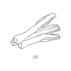 Mediterranean diet foods black and white sketch bunch of leeks isolated on white background 