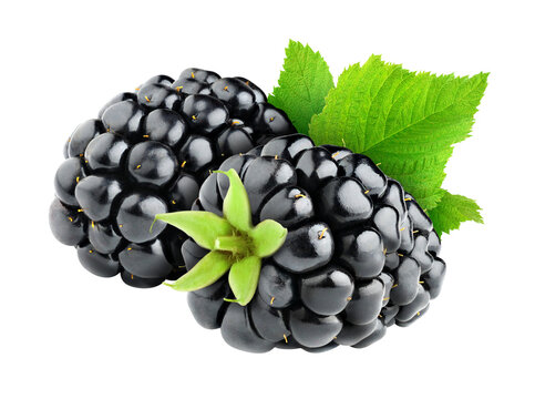 Two blackberries cut out