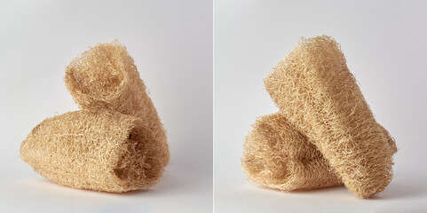 set of luffa or sponge gourd, also known as vegetable sponge or rag gourd, natural scrubber product isolated on white background, collection in different angles