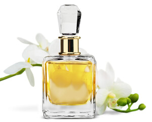 Perfume bottle and flowers isolated on white background.