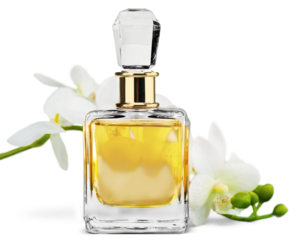Perfume bottle and flowers isolated on white background.