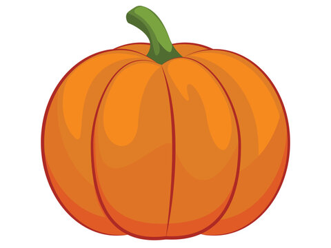 Pumpkin . Ilustration on white background