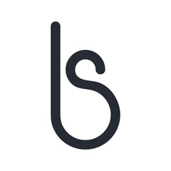 bs lowercase logo black interrelated