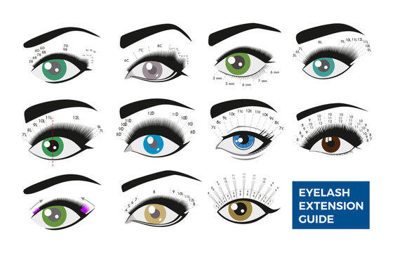 Eyelash extension guide. Different types of eyelash extensions. Styles for the most flattering look. Infographic vector illustration. Template for Makeup and cosmetic procedures. Training poster.
