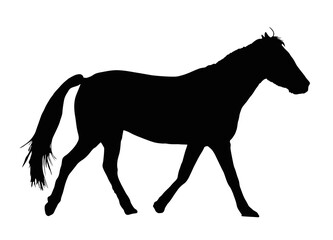 Fototapeta na wymiar Portrait Silhouette of Large Horse Galloping