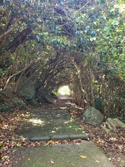 Obraz premium autumn in the park