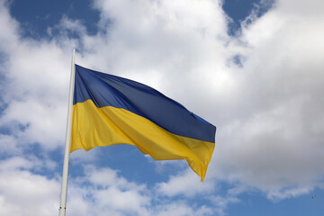 flag of Ukraine with blue color of sky above and yellow of sunflowers below