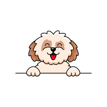 Cute shih tzu dog smiling over white background. Cartoon vector illustration