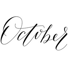 Hand drawn copperplate spenserian wedding lettering 