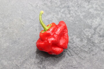 Scharfer Chili. Scotch Bonnet Chili.