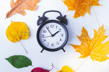 Alarm clock on white background and autumn leaves of different colors.