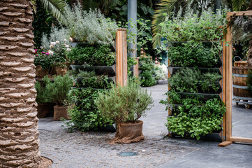 vertikaler Garten zuvertikaler Garten zur Wandbegrünung und Anbau Kräuter, Gemüse Balkonen und Terrassen oder in Innenhöfen r Wandbegrünung