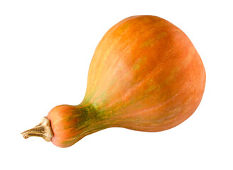 Whole long orange guitar-shaped pumpkin isolated on a white background