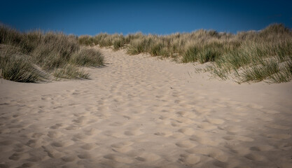 Footprints leading away over sand dunes