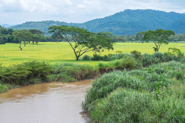 Fototapeta na wymiar Río Tárcoles en la región de Puntarenas, Costa Rica