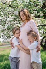 Fototapeta premium pregnant mother with two sons cheerful walk in the apple orchard on a sunny spring day. High quality photo
