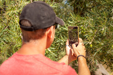 Man in cap and red T-shirt photographing an olive with his smartphone.