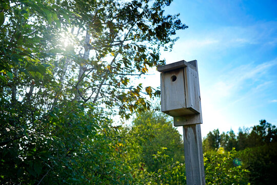 A picture of a birdhouse on pole in woods