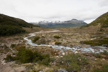 Alpine landscape. Panorama view of a glacier water stream flowing downhill across the meadow, valley, forest and Andes mountains, under a cloudy summer sky.