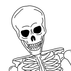 Skeleton vector hand drawn PNG 