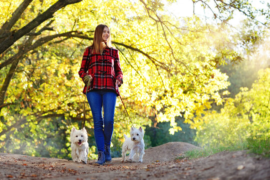 Full length picture of a woman walking with two dogs in the forest