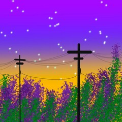 antenna poles wires electrical nature sunset lavender fields