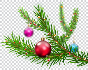 Christmas pine branches, decorated with hanging colored balls and pieces of serpentine, isolated on transparent background