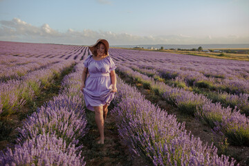 Beautiful plus size woman dressed purple dress and straw hat walking in the lavender flowers field,...